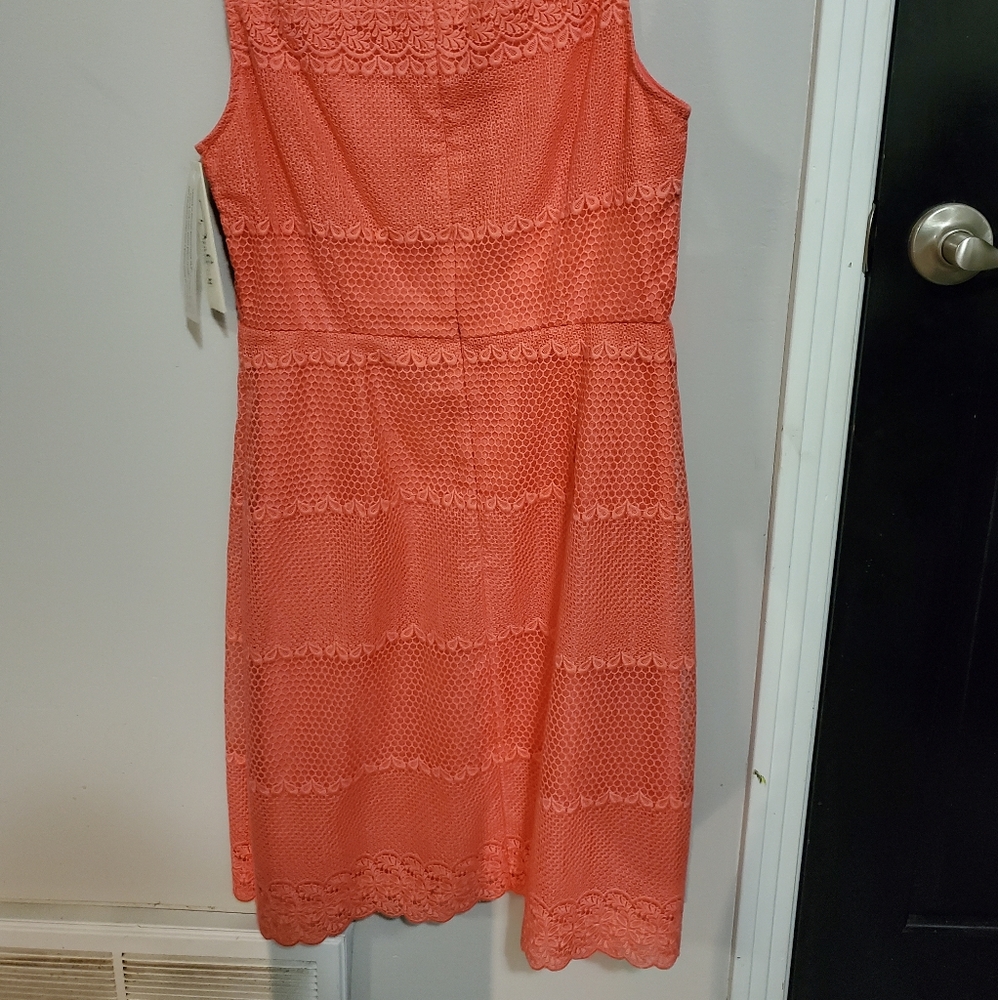 Darling boutique dress